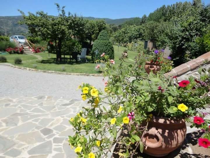 コルトーナ Casale L'Antico Carro Bed & Breakfast エクステリア 写真